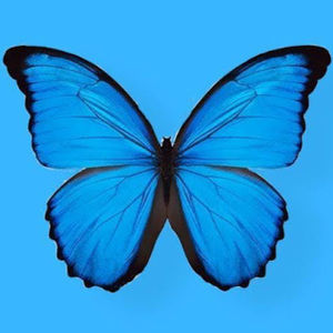 Meet your Posher, Semiyah